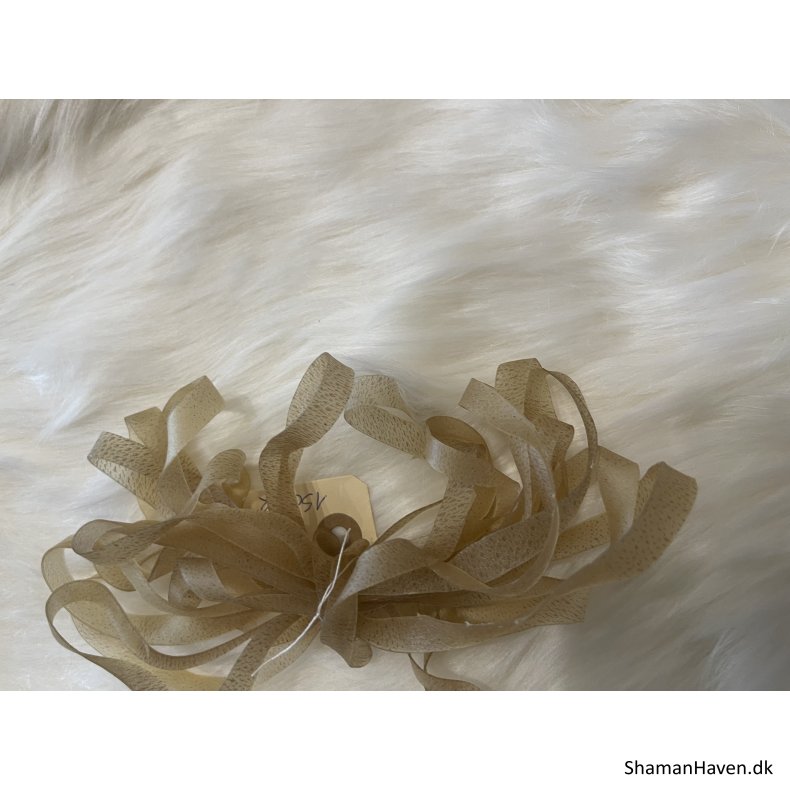 Lace 5 m.