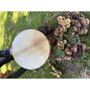 Gedeskinds shamantromme 16�