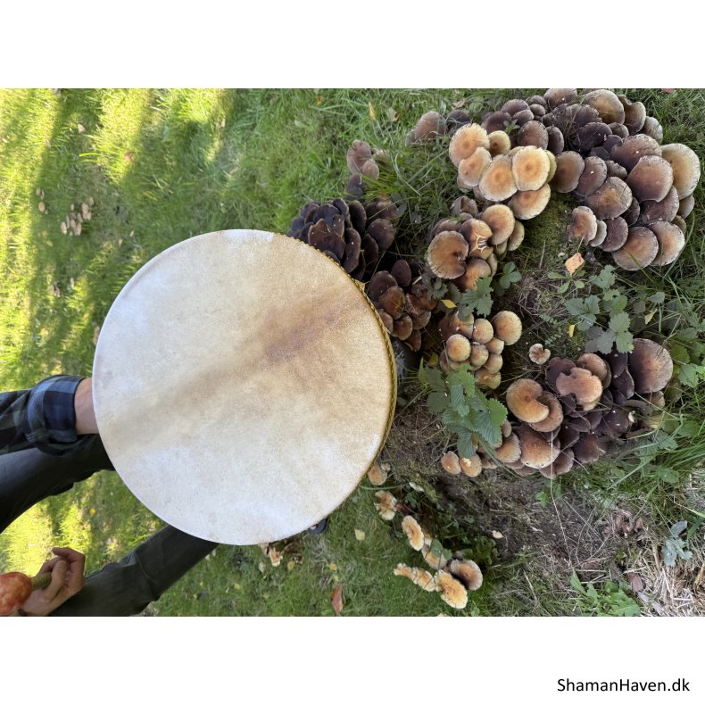 Gedeskinds shamantromme 16�