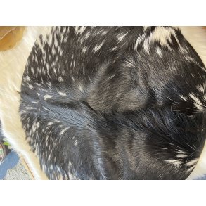 Trommeskind med pels 26�