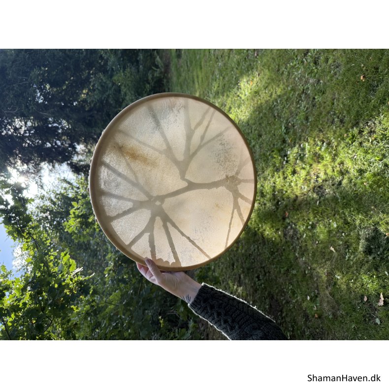 Gedeskinds shamantromme 18�