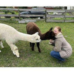 Foredrag om Dyretelepati  Skab dybere relationer til dine dyr d. 3. februar 2026