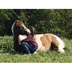 Foredrag om Dyretelepati  Skab dybere relationer til dine dyr d. 3. februar 2026