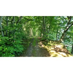 Medicin walk den 26.11 kl 16