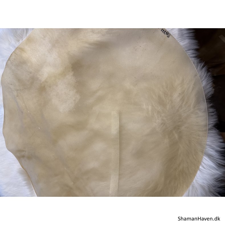 B�ffelskind 28�
