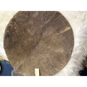 Kamel med pels 24�