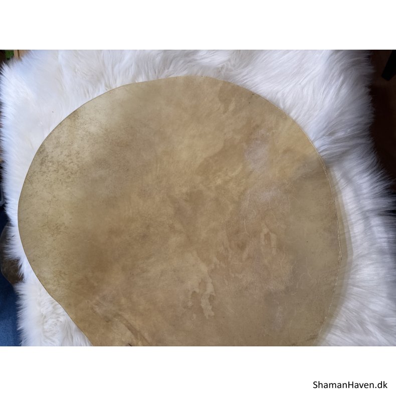 Kamelskind 24�