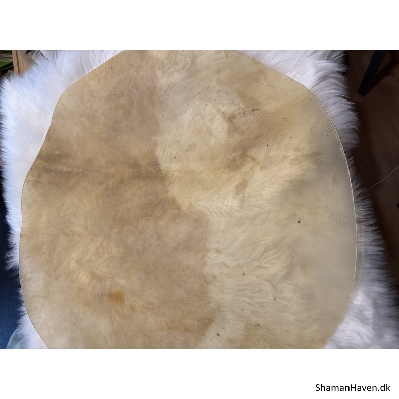 B�ffelskind 30�