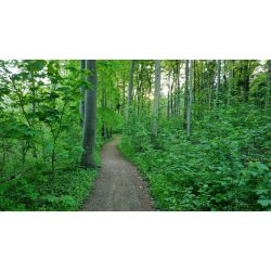 Medicin walk den 26.11 kl 16