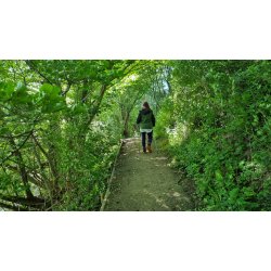 Medicin walk den 26.11 kl 16